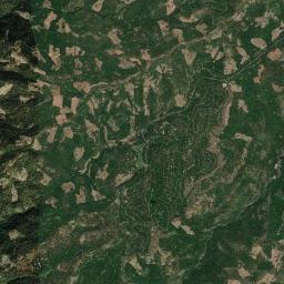 Big Trees California map(satellite map)