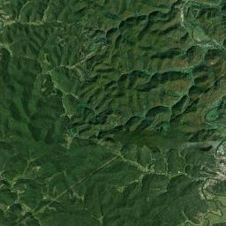 Wayne Satellite Map
