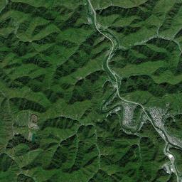 Williamson Satellite Map