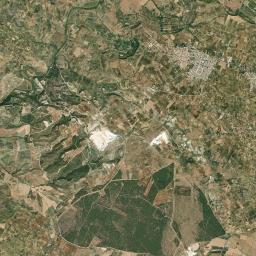 Montevago Satellite Map