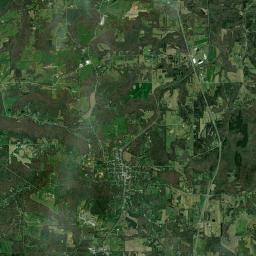 Cobden Satellite Map