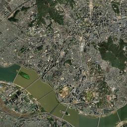 Seoul Satellite Map