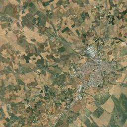 Carmona Satellite Map