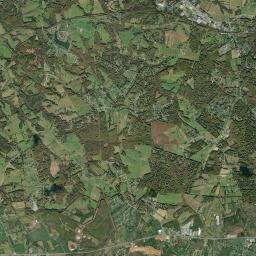 Forest Satellite Map