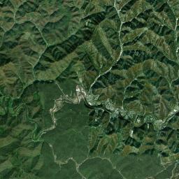 Whitesburg Satellite Map