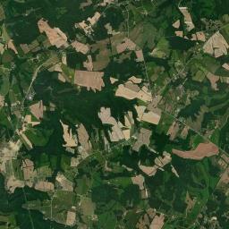 1400-1698 Bucksville Road, Auburn, KY Satellite Map