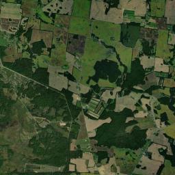 Roaring Springs Road, Cadiz, KY 42211 Satellite Map