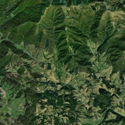 Grayson County Satellite Map