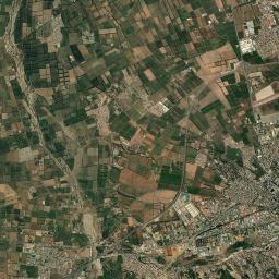 Chiffa Satellite Map