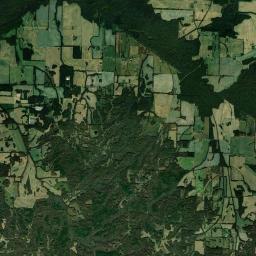 Brundige Tennessee Satellite Map