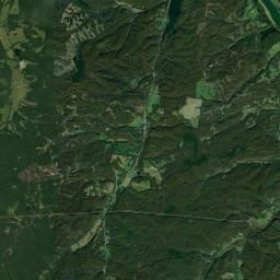 Carlisle Tennessee Satellite Map