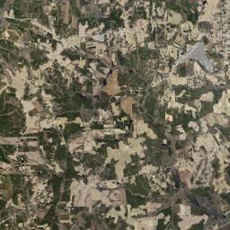 South Rosemary Satellite Map