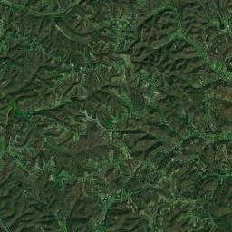 Ivy Point Tennessee Satellite Map