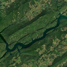 Elm Springs Tennessee Satellite Map