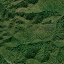 Tioga Tennessee Satellite Map