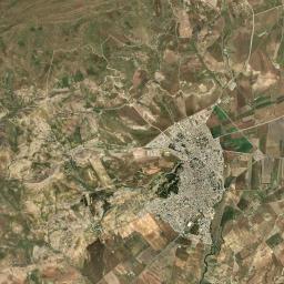 Sedrata Satellite Map
