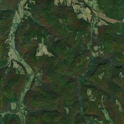 Delmar Arkansas map(satellite map)