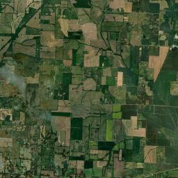 885-915 Forrester Road, Newbern, TN Satellite Map