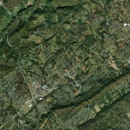 Pedigo Tennessee Satellite Map