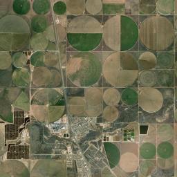 Cactus Satellite Map