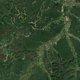 Oak Tree Tennessee Satellite Map