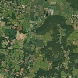 12650 Old Kentucky Rd Walling TN Satellite Map