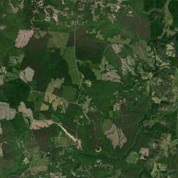 White Oak Forest Tennessee Satellite Map