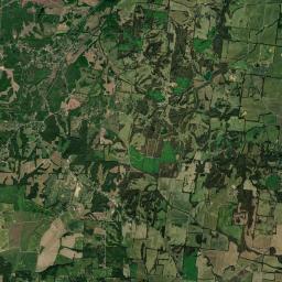 Forked Deer Tennessee Satellite Map