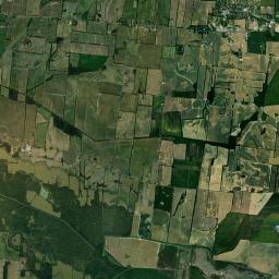 Maury City Tennessee Satellite Map