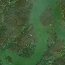 Woodland Cove Tennessee Satellite Map