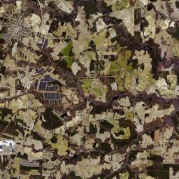 Elm City Satellite Map