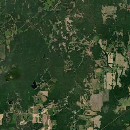 White Fern Tennessee Satellite Map