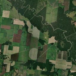 Cotton Lake Tennessee Satellite Map