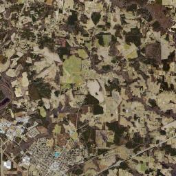 Selma Satellite Map