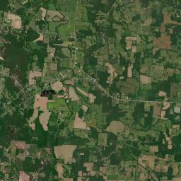 Palmetto Tennessee Satellite Map