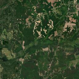 Teague Tennessee Satellite Map