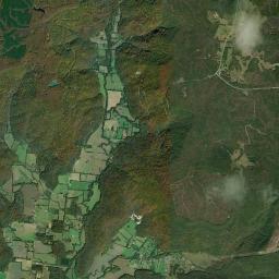 Payne Cove Tennessee Satellite Map