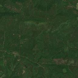 Gum Tree Arkansas map(satellite map)