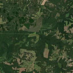 10680 Lagrange Road, Grand Junction, TN Satellite Map