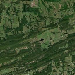 Naylor Arkansas map(satellite map)