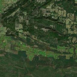 Golden City Arkansas map(satellite map)