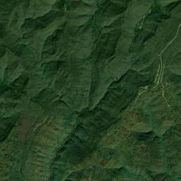 Jericho Alabama map(satellite map)