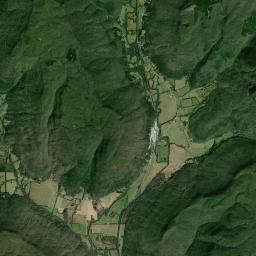 Gonce Alabama map(satellite map)