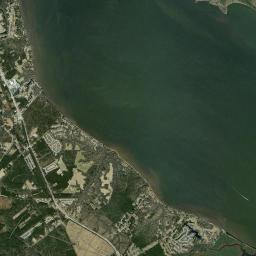 Neuse Forest Satellite Map