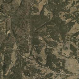 Ponderosa Pine Satellite Map