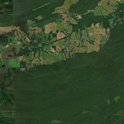 Shark Arkansas Satellite Map