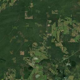 Yell County Satellite Map