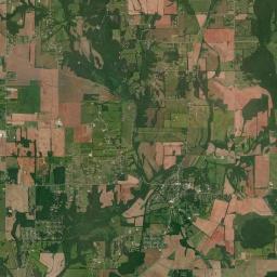 New Market Alabama map(satellite map)