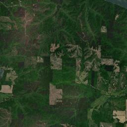 Lane Springs Alabama map(satellite map)