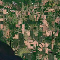 Ripley Alabama map(satellite map)